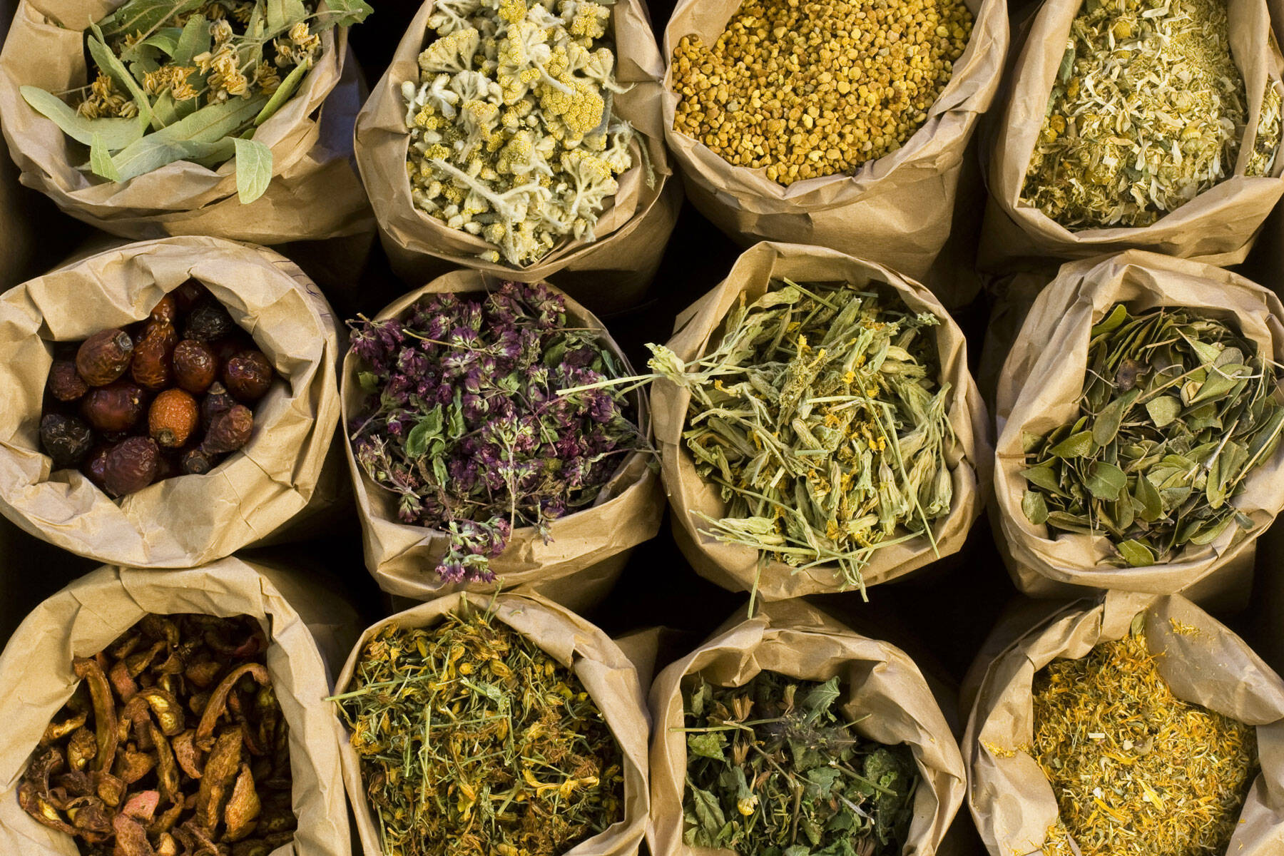 La pratica erboristica e le piante officinali 6 studio sūn-dalle-erbe-magiche-allerboristeria-scientifica-1